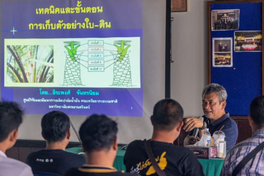 2019 — year-end Red Cross / New Year checkpoints